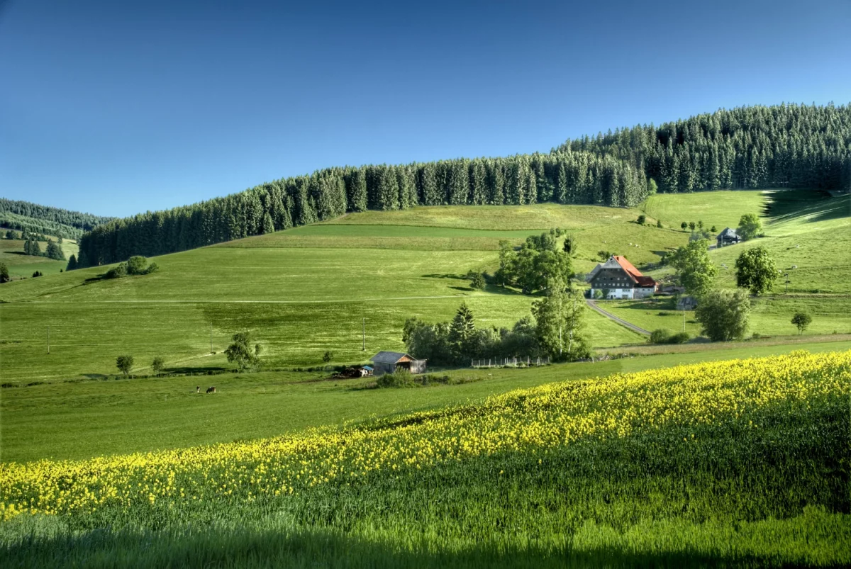 Zadbaj o zdrowie: Kluczowe kroki do lepszego samopoczucia!